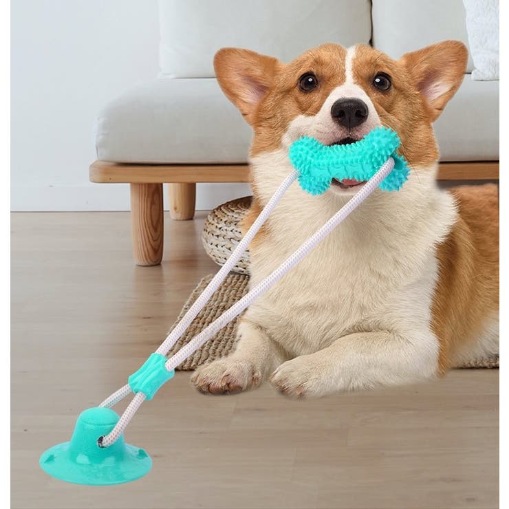 ペット用おもちゃ ラバートイ ペットトイ | PlusNao | 詳細画像2 