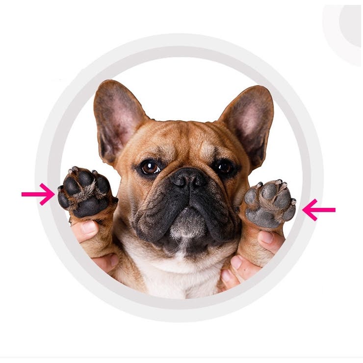 足洗いカップ ペット用品 犬用品 | PlusNao | 詳細画像4 