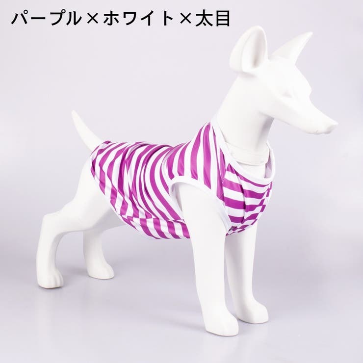 ペットウェア タンクトップ 犬服 | PlusNao | 詳細画像12 