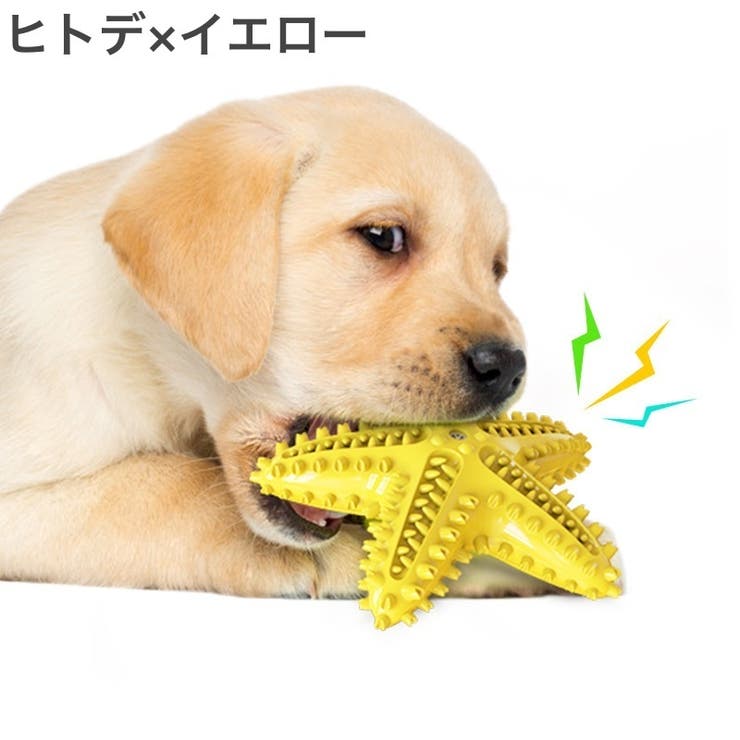 ペット用おもちゃ 噛むおもちゃ ラバートイ | PlusNao | 詳細画像12 
