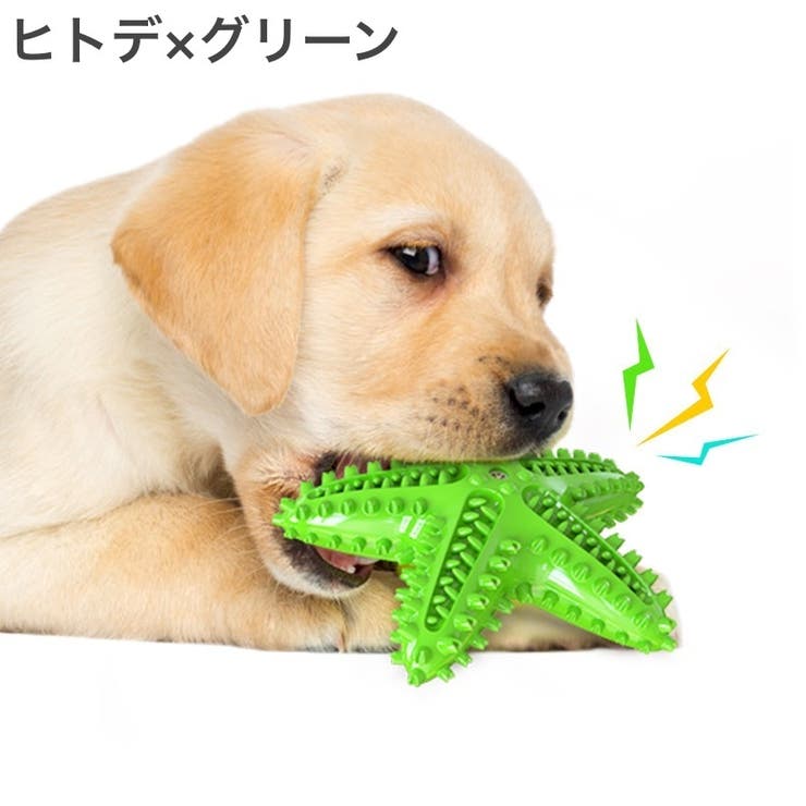 ペット用おもちゃ 噛むおもちゃ ラバートイ | PlusNao | 詳細画像13 
