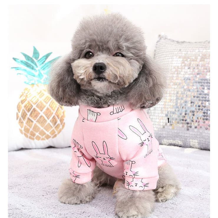 ペットウェア ドッグウェア 犬用 | PlusNao | 詳細画像4 