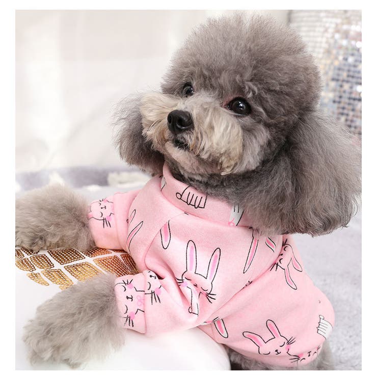 ペットウェア ドッグウェア 犬用 | PlusNao | 詳細画像5 