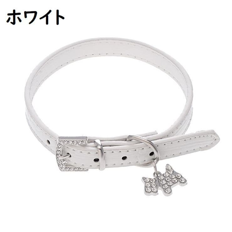 首輪 犬用 ペット用品 | PlusNao | 詳細画像5 