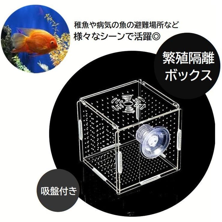 繁殖隔離ボックス 産卵ケース シングル | PlusNao | 詳細画像1 