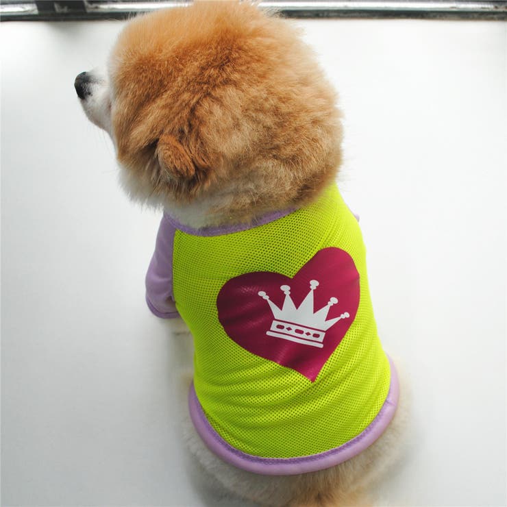 ドッグウェア Tシャツ 犬服[品番：FQ000133645]｜PlusNao（プラスナオ