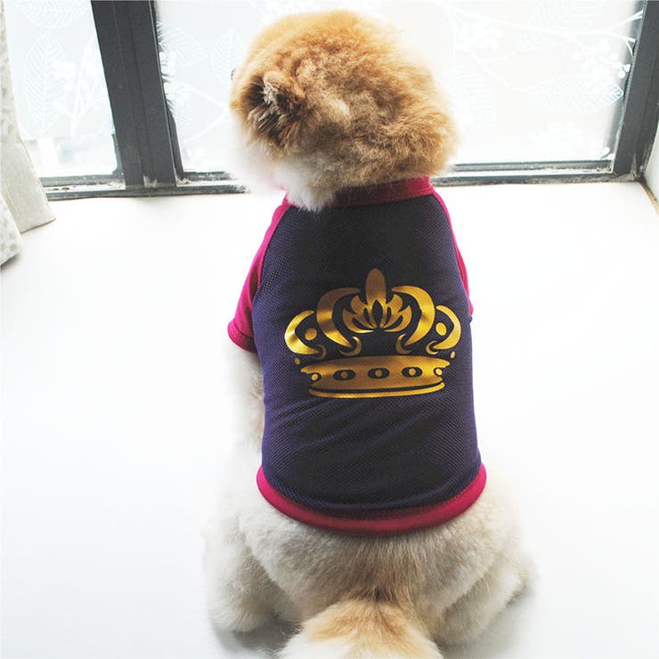 ドッグウェア Tシャツ 犬服[品番：FQ000133645]｜PlusNao（プラスナオ