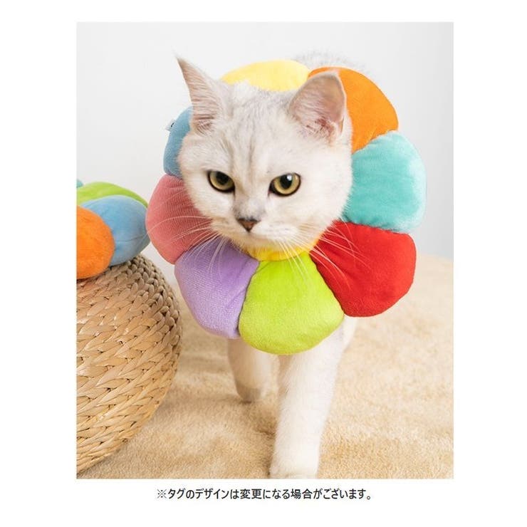 エリザベスカラー 猫用 犬用 | PlusNao | 詳細画像6 
