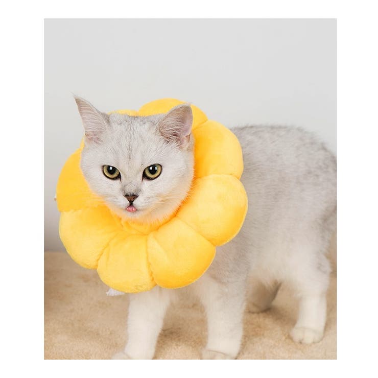 エリザベスカラー 猫用 犬用 | PlusNao | 詳細画像8 