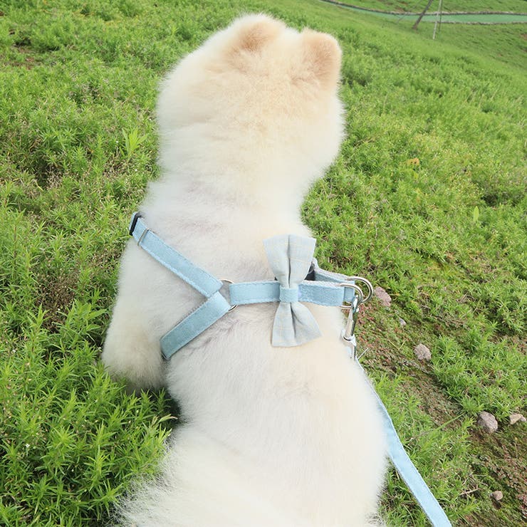 ハーネス リード 2点セット | PlusNao | 詳細画像2 