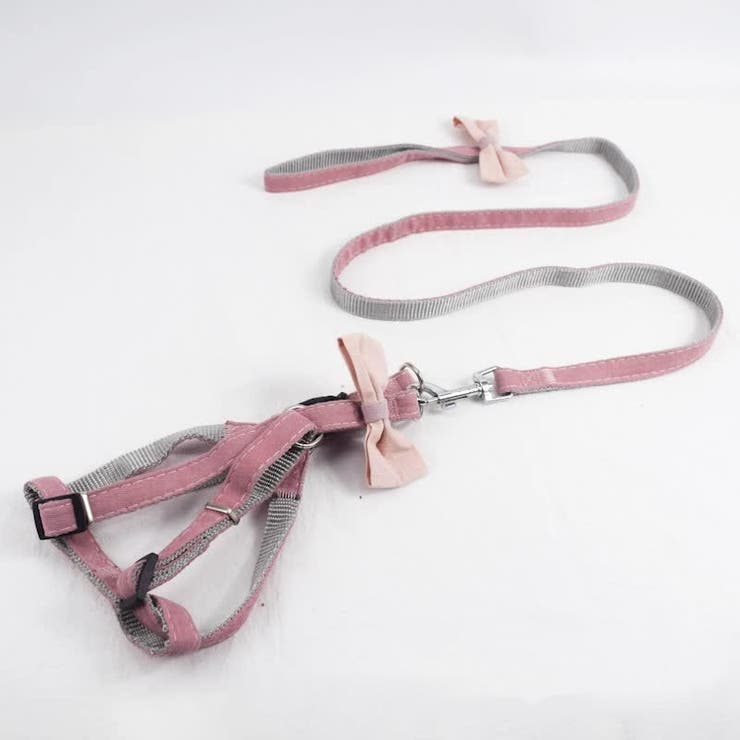 ハーネス リード 2点セット | PlusNao | 詳細画像4 