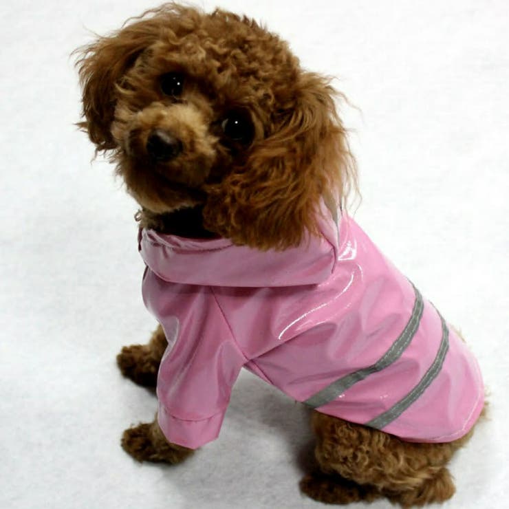 犬用レインコート ドッグウェア 雨具[品番：FQ000102298]｜PlusNao