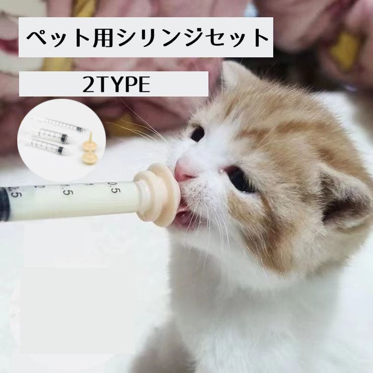 シリンジ 子猫 子犬[品番：FQ000183448]｜PlusNao（プラスナオ