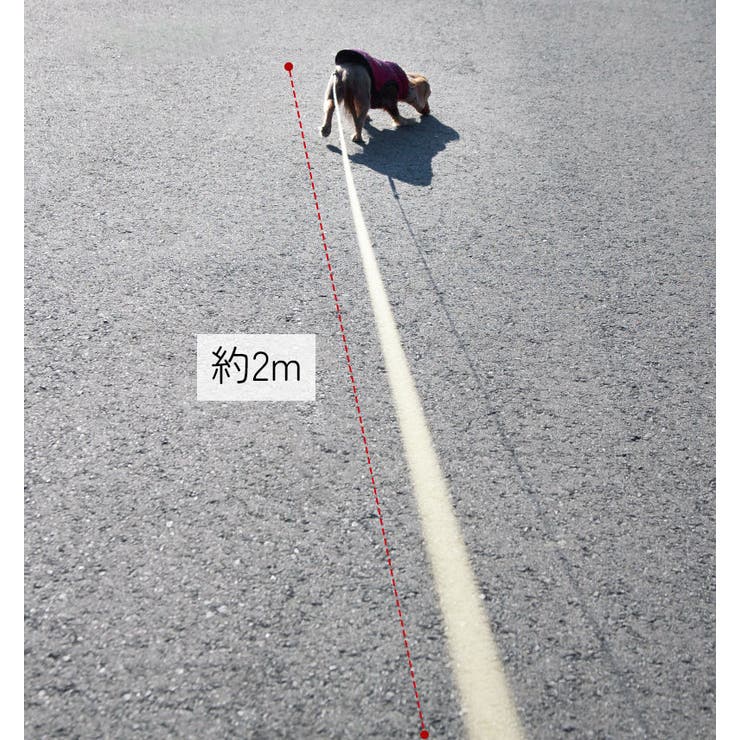 犬用伸縮リード 2m ペット用品 | PlusNao | 詳細画像11 