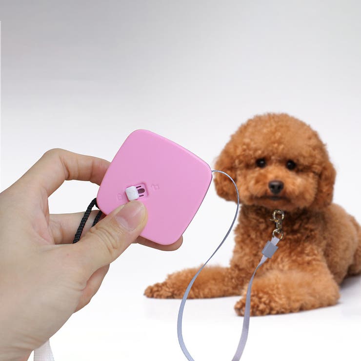 犬用伸縮リード 2m ペット用品 | PlusNao | 詳細画像2 