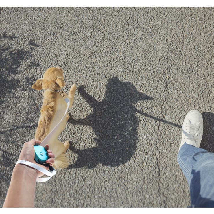 犬用伸縮リード 2m ペット用品 | PlusNao | 詳細画像4 