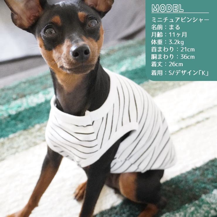 犬服 ドッグウェア タンクトップ | PlusNao | 詳細画像6 