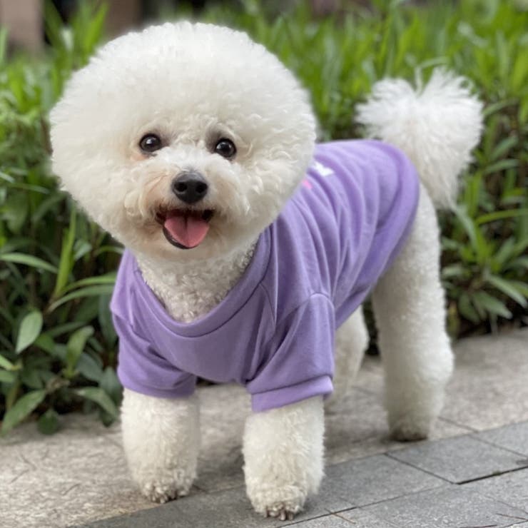 ペットウェア ドッグウェア キャットウェア | PlusNao | 詳細画像5 