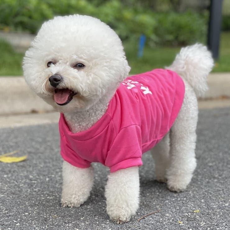 ペットウェア ドッグウェア キャットウェア | PlusNao | 詳細画像6 