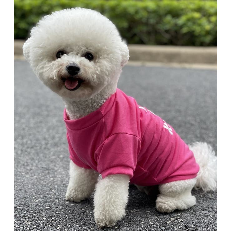 ペットウェア ドッグウェア キャットウェア | PlusNao | 詳細画像8 