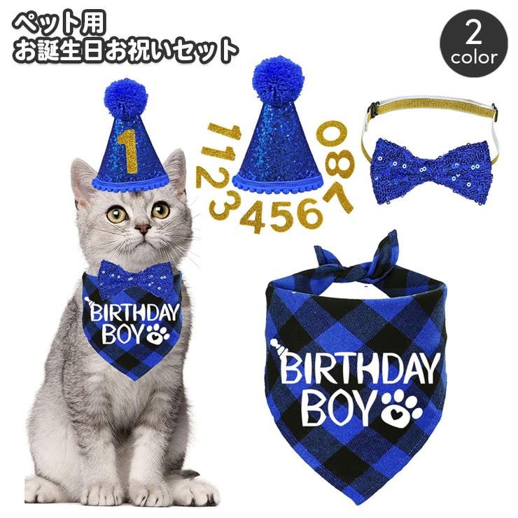 誕生日お祝いセット ペット用 バースデー | PlusNao | 詳細画像1 