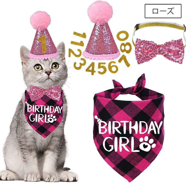 誕生日お祝いセット ペット用 バースデー | PlusNao | 詳細画像2 