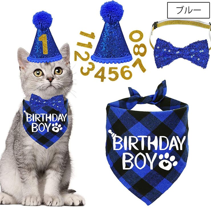 誕生日お祝いセット ペット用 バースデー | PlusNao | 詳細画像3 