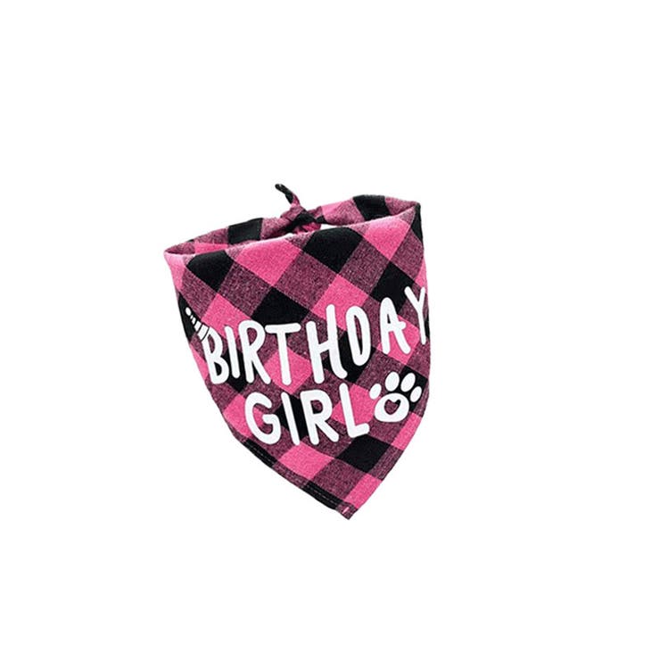 誕生日お祝いセット ペット用 バースデー | PlusNao | 詳細画像7 