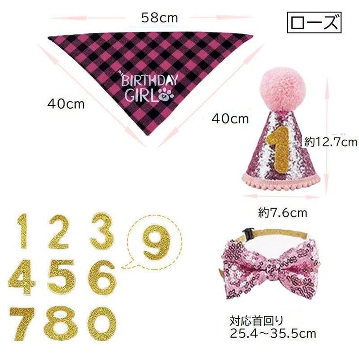 誕生日お祝いセット ペット用 バースデー | PlusNao | 詳細画像8 