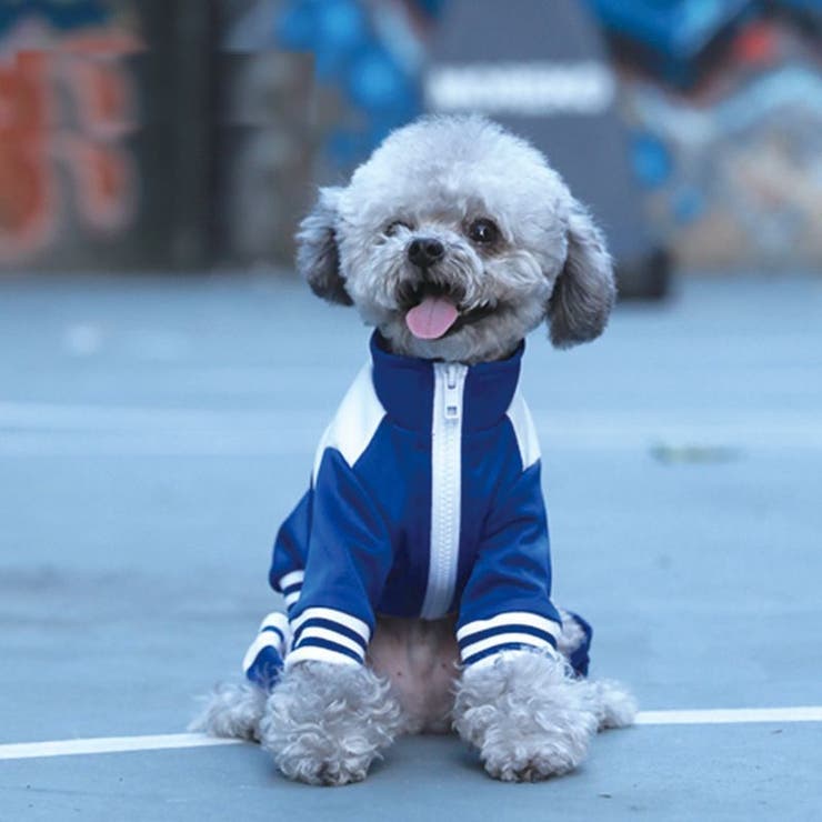 ペット服 ジャージ 犬[品番：FQ000130940]｜PlusNao（プラスナオ