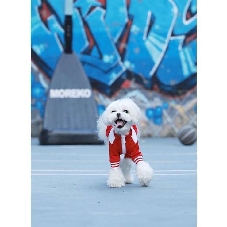 ペット服 ジャージ 犬[品番：FQ000130940]｜PlusNao（プラスナオ）の