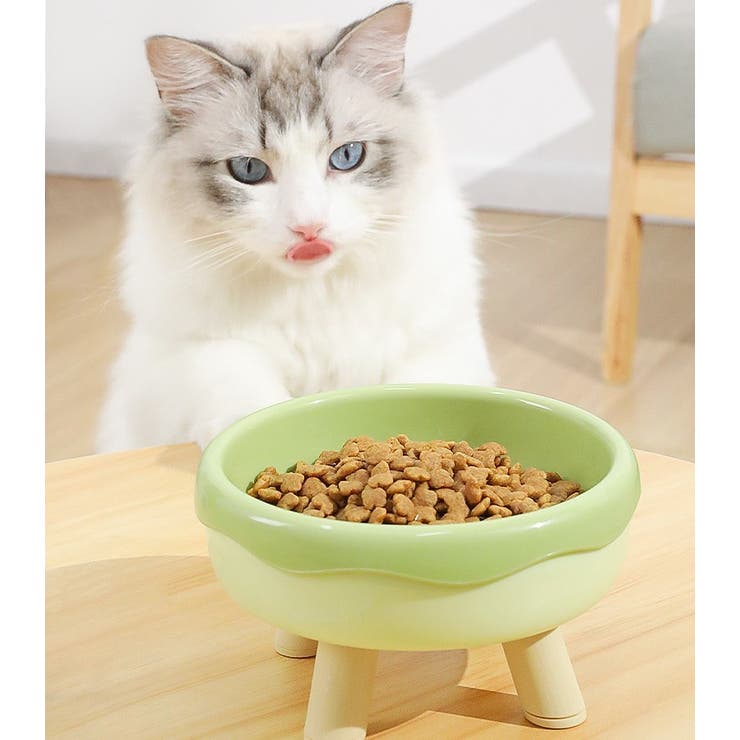 猫用ペットボウル ネコ用ペットボウル ペット用フードボウル | PlusNao | 詳細画像3 