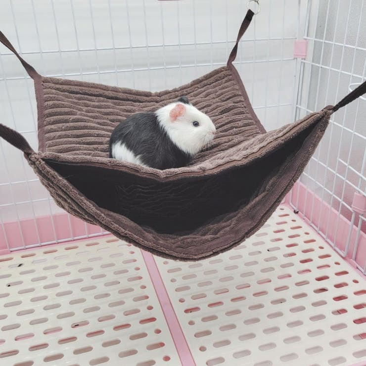 小動物 ハンモック 大きめ | PlusNao | 詳細画像2 