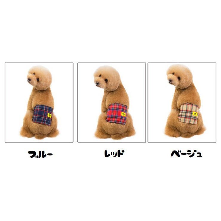 ペット用マナーベルト マナーウェア 犬 | PlusNao | 詳細画像14 