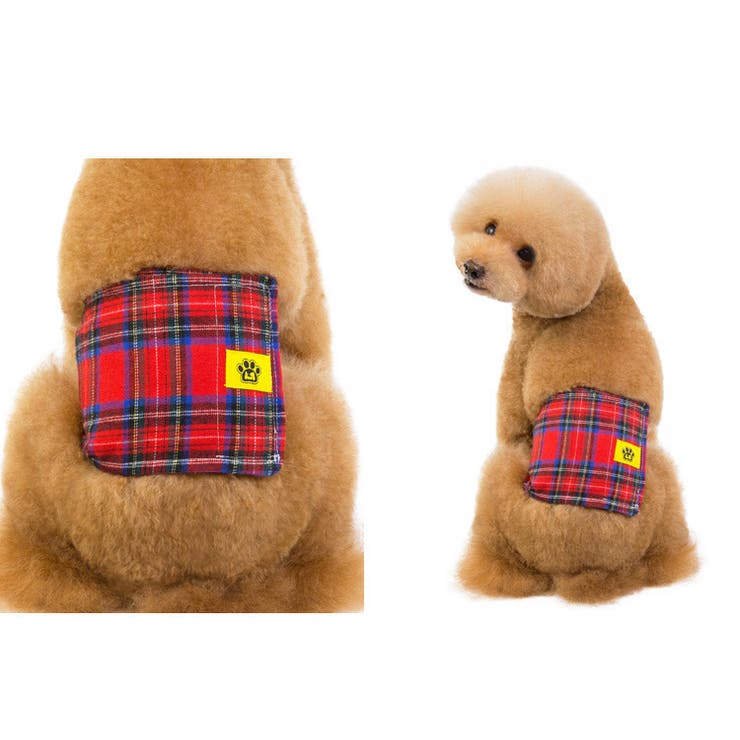 ペット用マナーベルト マナーウェア 犬 | PlusNao | 詳細画像7 