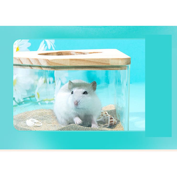 小動物用 砂浴び容器 砂風呂 | PlusNao | 詳細画像8 