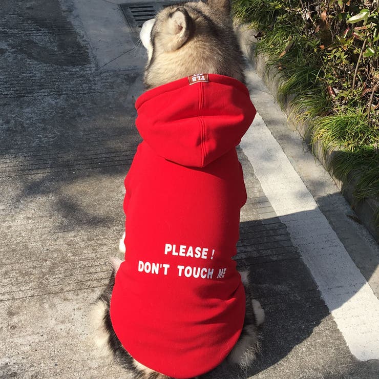 ペットウェア 犬服 飼い主とペット | PlusNao | 詳細画像7 