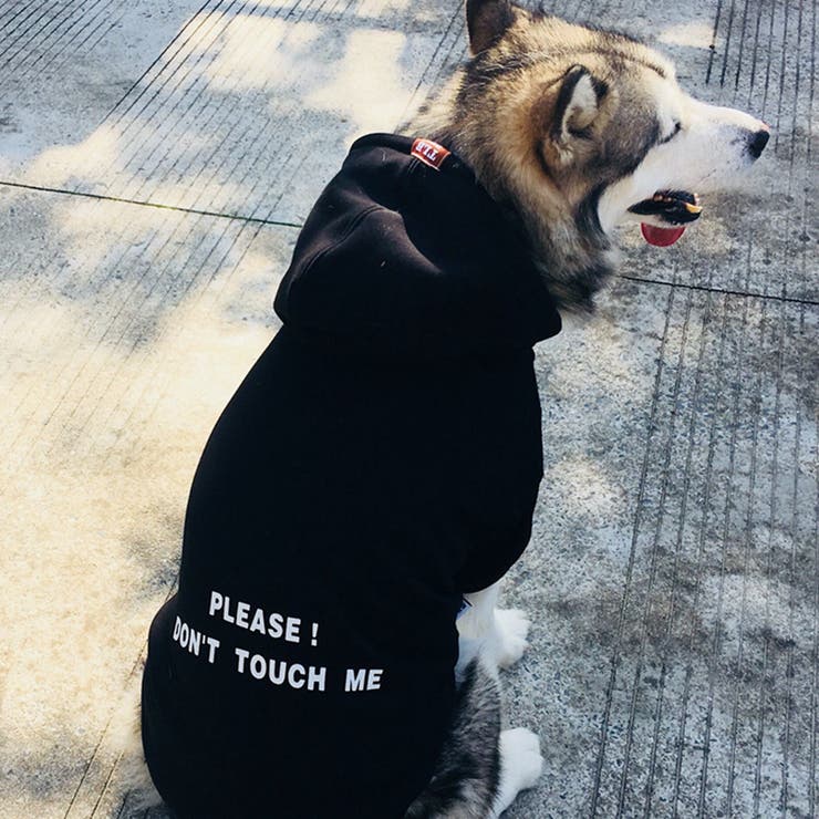 ペットウェア 犬服 飼い主とペット | PlusNao | 詳細画像8 
