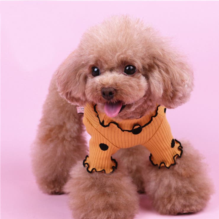 ドッグウェア カットソー 犬服 | PlusNao | 詳細画像10 