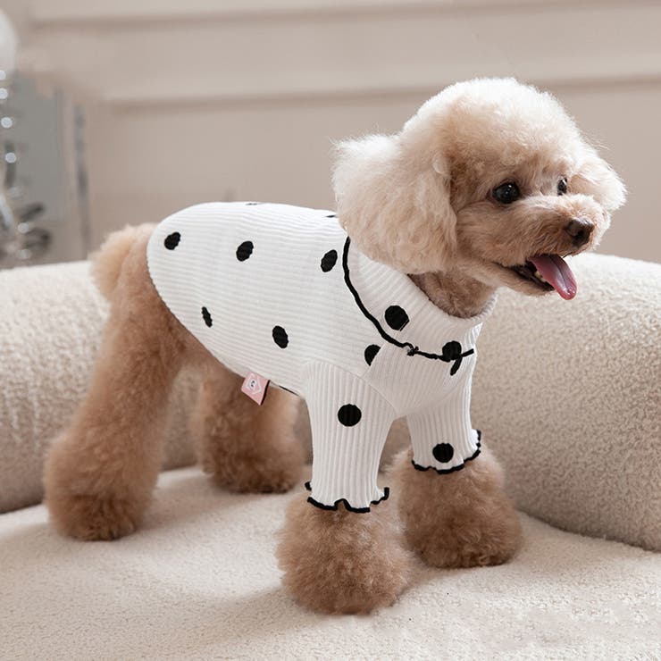 ドッグウェア カットソー 犬服 | PlusNao | 詳細画像2 