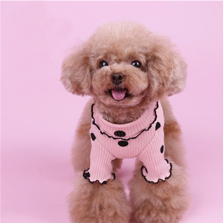 ドッグウェア カットソー 犬服 | PlusNao | 詳細画像5 