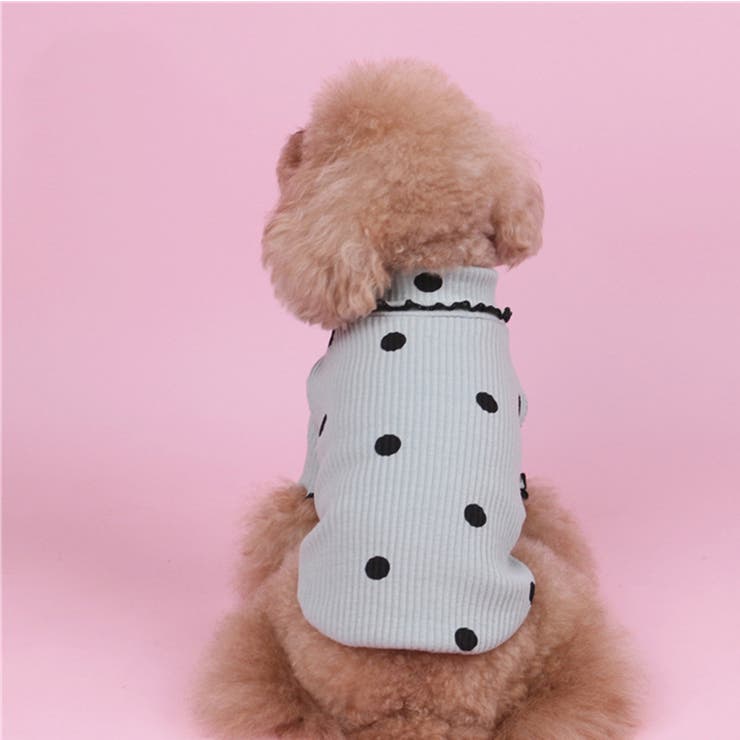 ドッグウェア カットソー 犬服 | PlusNao | 詳細画像6 
