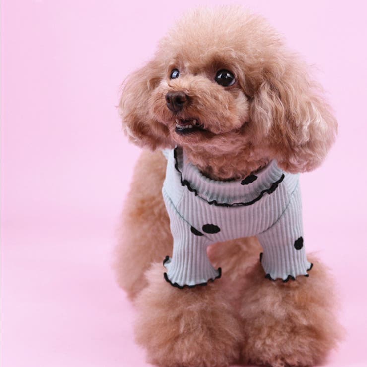 ドッグウェア カットソー 犬服 | PlusNao | 詳細画像7 