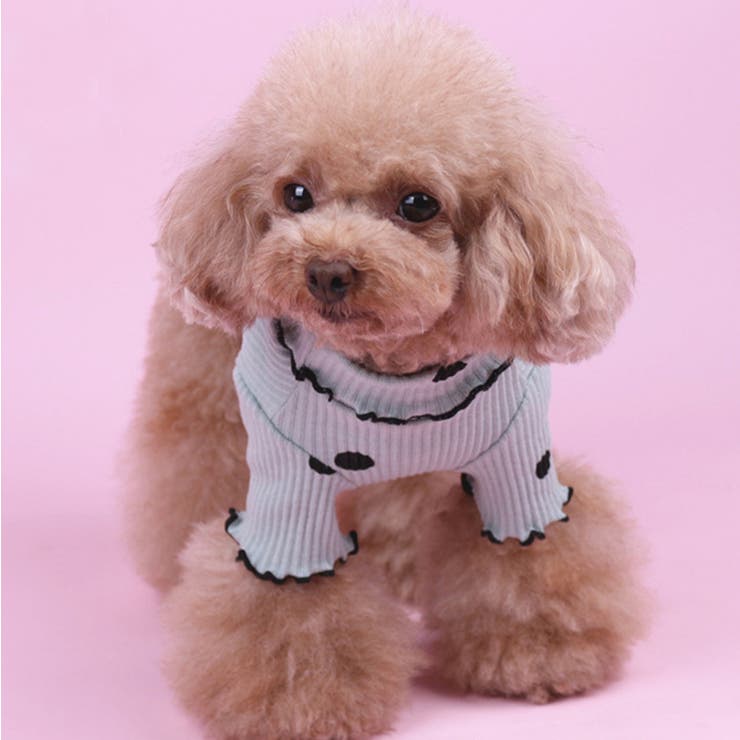 ドッグウェア カットソー 犬服 | PlusNao | 詳細画像8 