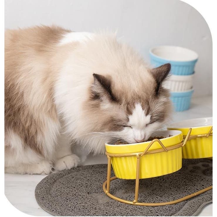 ペット用食器 猫用食器 犬用食器 | PlusNao | 詳細画像5 