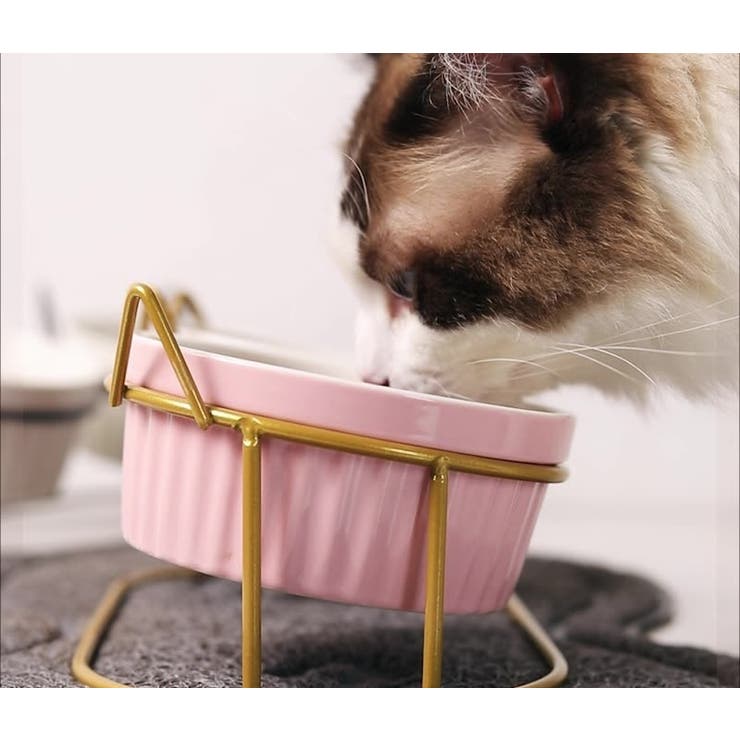 ペット用食器 猫用食器 犬用食器 | PlusNao | 詳細画像6 
