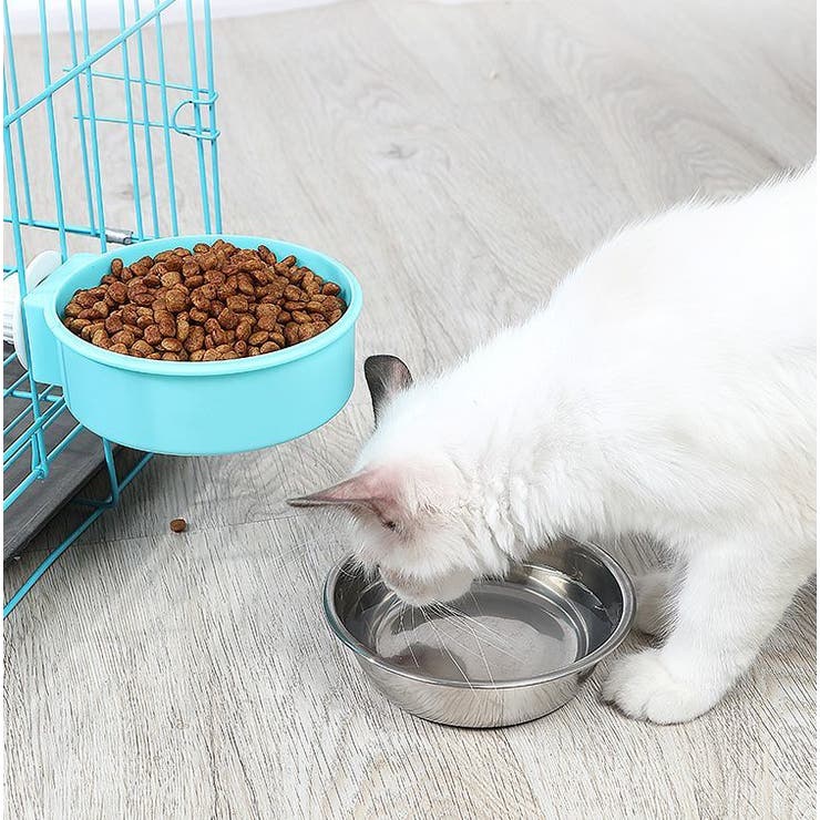 ペット用食器 犬用 猫用 | PlusNao | 詳細画像2 