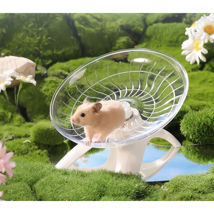 小動物用ホイール 回し車 ハムスター[品番：FQ000213588]｜PlusNao  