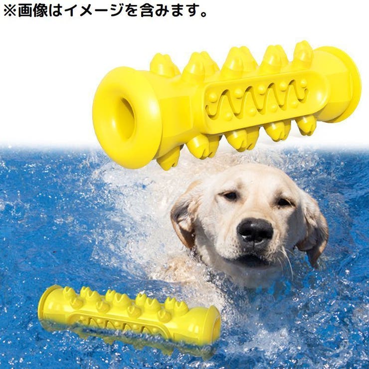 犬用 噛むオモチャ 噛んで歯磨き | PlusNao | 詳細画像2 