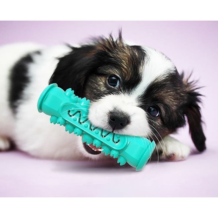 犬用 噛むオモチャ 噛んで歯磨き | PlusNao | 詳細画像3 